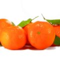 oranges-tangerines-clementines-citrus-fruit-39683